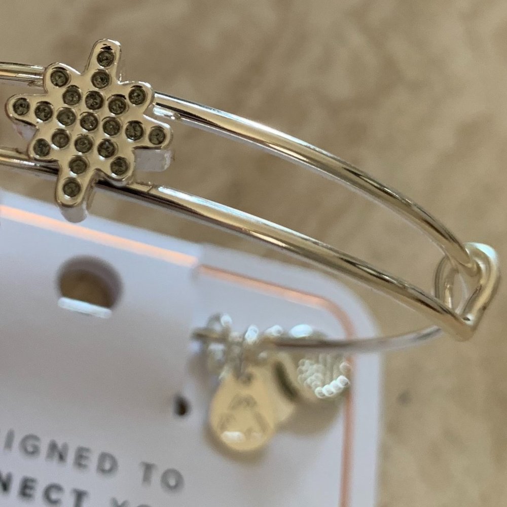 Alex and Ani Bracelet NWT